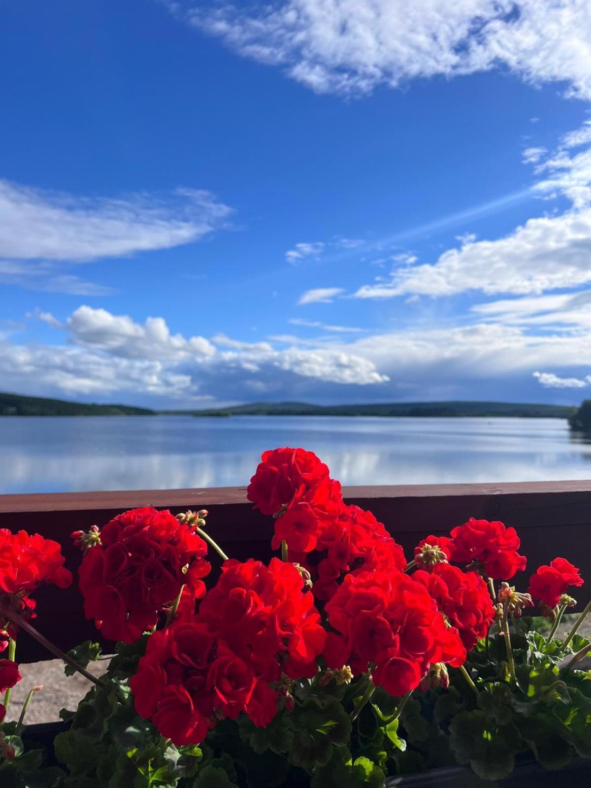 Jauri Resort Kemijärvi Zewnętrze zdjęcie
